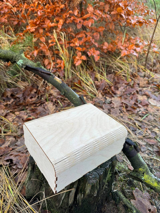 Wooden musical box for your creativity