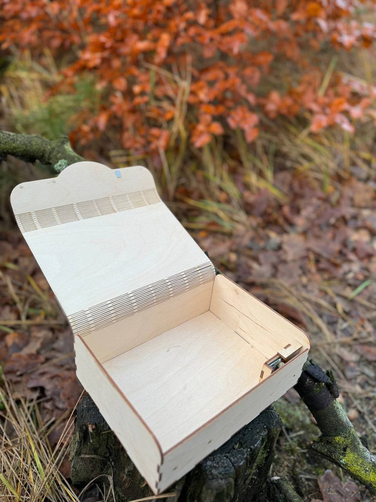 DIY Voice Gift Box